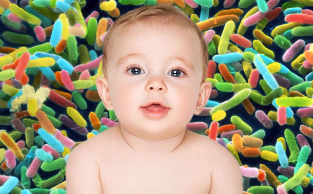 Nutrition - Good Bacteria