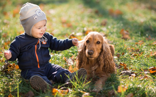 Dogs and Babies - Parenting Advice at Nanny Options