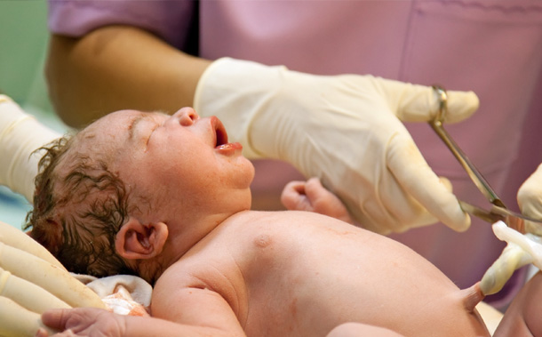 The Umbilical Cord - Parenting Guide Article, News from Nanny Options, Dublin