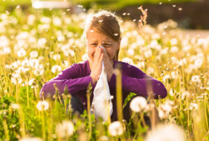 Summer Allergies