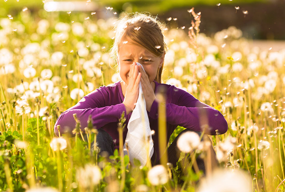 Summer Allergies