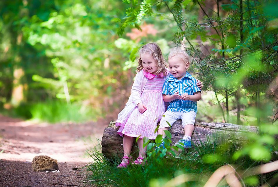 Full time Nanny Sandyford, Dublin 18